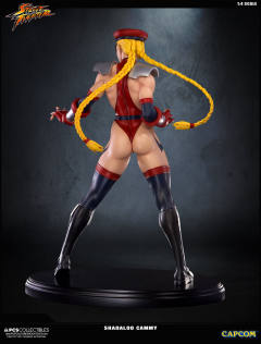 Mixed Media 嘉米·怀特 Shadaloo Cammy-资料图
