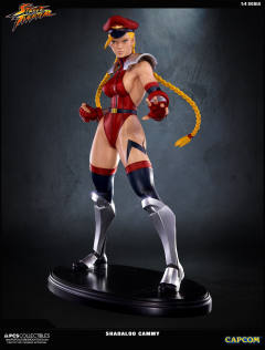 Mixed Media 嘉米·怀特 Shadaloo Cammy-资料图