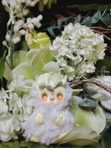 迷你系列-小白菜