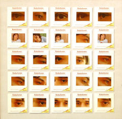 The Academy In Peril