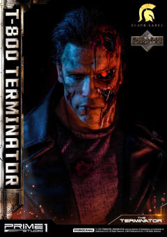 T-800 DX version-资料图
