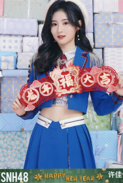 许佳佳 24新年 ver.A