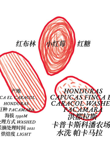 洪都拉斯卡普卡斯科潘农场水洗帕卡马拉