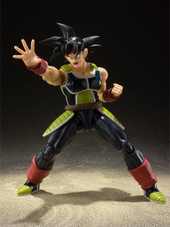 SHF 巴达克-资料图