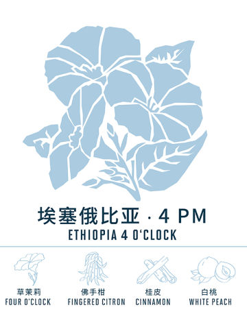 埃塞4PM