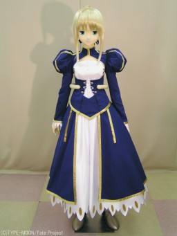 Saber Armor ver