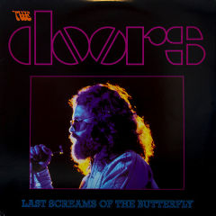 Last Screams Of The Butterfly