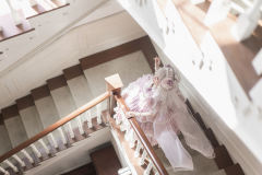 寻找蝴蝶-资料图