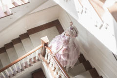 寻找蝴蝶-资料图