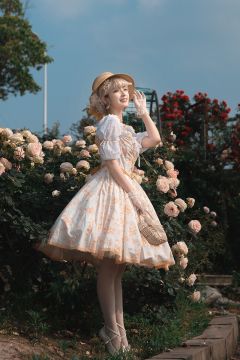 夏日锦葵-资料图
