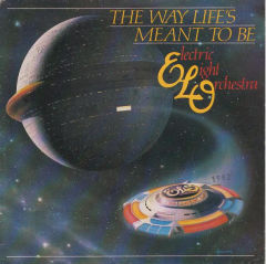 The Way Life's Meant To Be