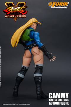 嘉米·怀特 Battle Costume-资料图