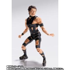 SHF T.M.Revolution-资料图