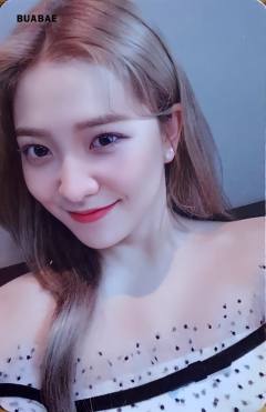 专卡椰 K版
