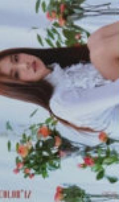 电子专专卡8 ver.B