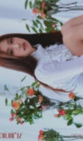 电子专专卡8 ver.B