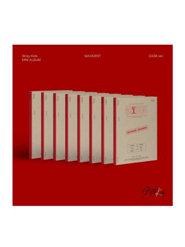 MAXIDENT case版单封5