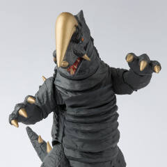 SHF 布莱克王-资料图