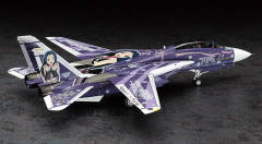 三浦梓Grumman F-14D Tomcat-资料图