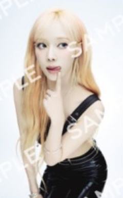 东蛋特别场随机卡 冬 ver.D