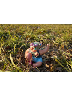 四歌-动物人-飞鱼