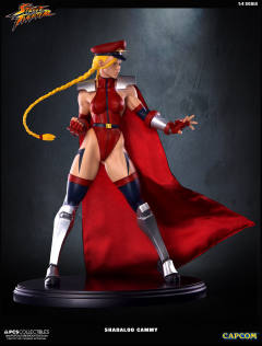 Mixed Media 嘉米·怀特 Shadaloo Cammy-资料图