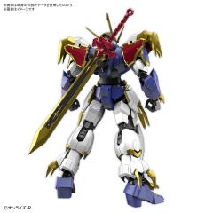 HG Amplified IMGN 龙神丸-资料图
