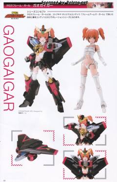 D-Style GAOGAIGAR-资料图