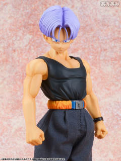 Dimension of Dragonball 未来特兰克斯 -资料图