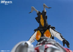 SHF 杰顿-资料图