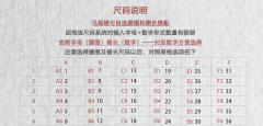 仙桃云鹤·马面裙-资料图