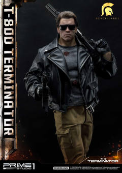 T-800 DX version-资料图