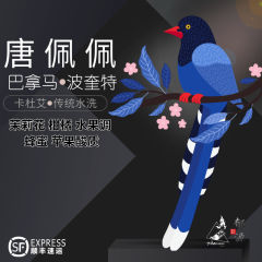 巴拿马波奎特唐佩佩庄园