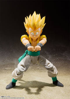 SHF 超级赛亚人悟天克斯-资料图
