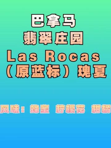 巴拿马 翡翠庄园   Las Rocas (原蓝标)瑰夏