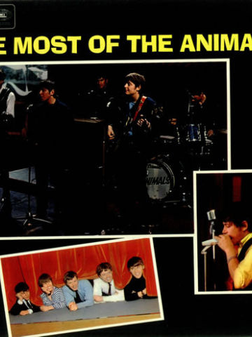 The Most Of The Animals