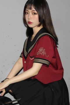 夔龙 套装-资料图