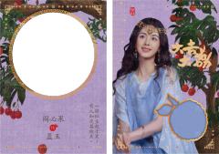 朱砂帛-单人衣料卡10