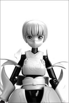瑄 Full Set MMS Type Ninja-资料图