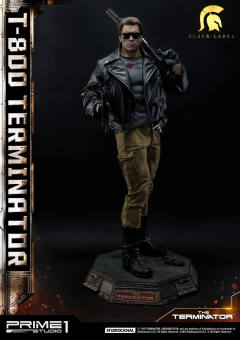 T-800 DX version-资料图