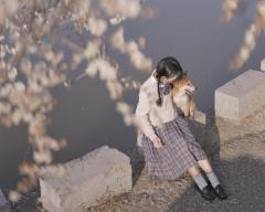 橘几海-资料图