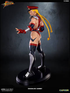 Mixed Media 嘉米·怀特 Shadaloo Cammy-资料图