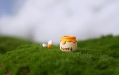 bee with me-资料图