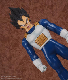 Dimension of Dragonball 贝吉塔 -资料图