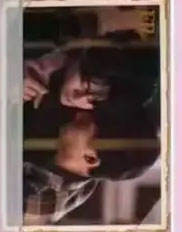 FR【枇杷树下】