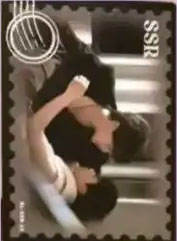 SSR【仲夏来信】