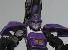 Autobot Alliance  Deluxe Class 艾丽塔-资料图
