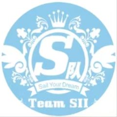 TeamSII