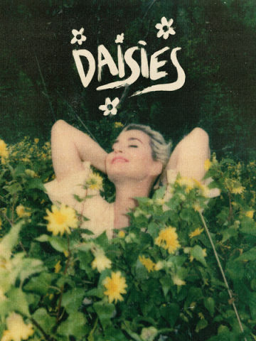 Daisies