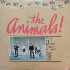 Animal Tracks